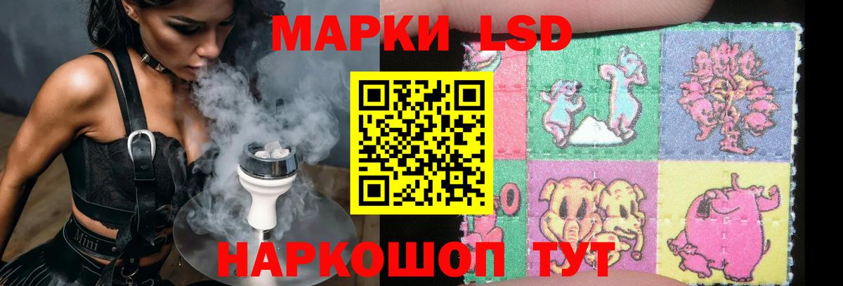 mega как зайти  LSD-25 экстази  Елизово  Вход с VPN  LSD-25 экстази кислота 