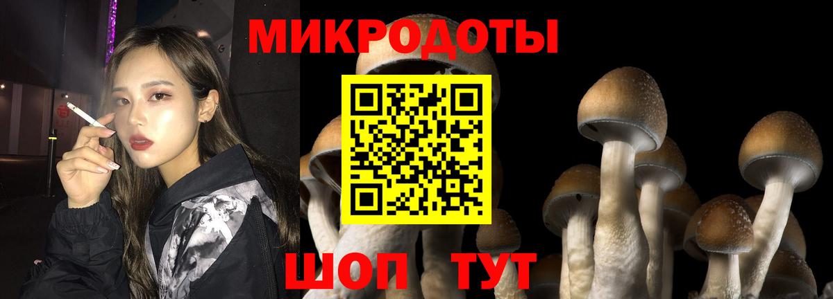 купить наркотик  Вход с VPN  Елизово  Псилоцибиновые грибы Psilocybe 